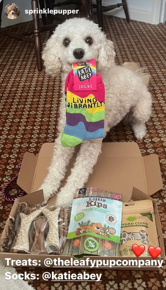 Sprinkle Pepper with her treat box :-)