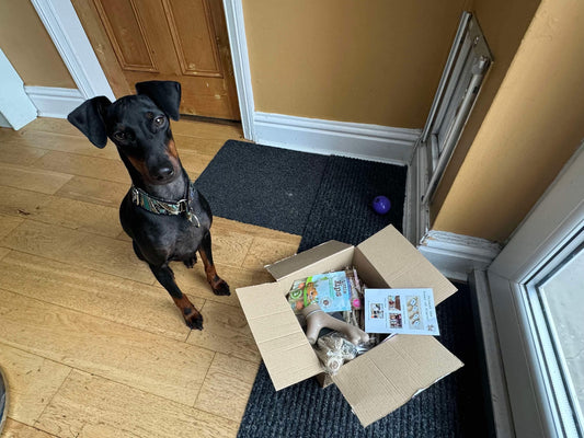 Jensen cannot wait to unpack his treats!