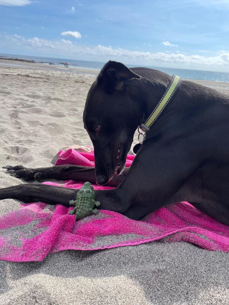 Importance of fresh breath at the beach, the stunning Hazel