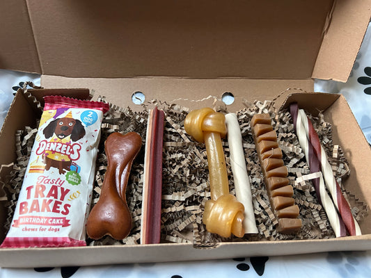 Birthday Cake Gift Box - Medium and Large size Dogs