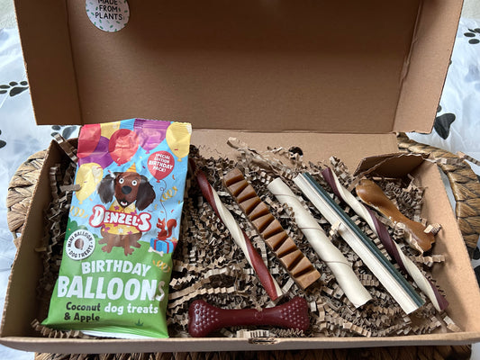 Birthday Balloon Gift Box Small and Medium Dogs