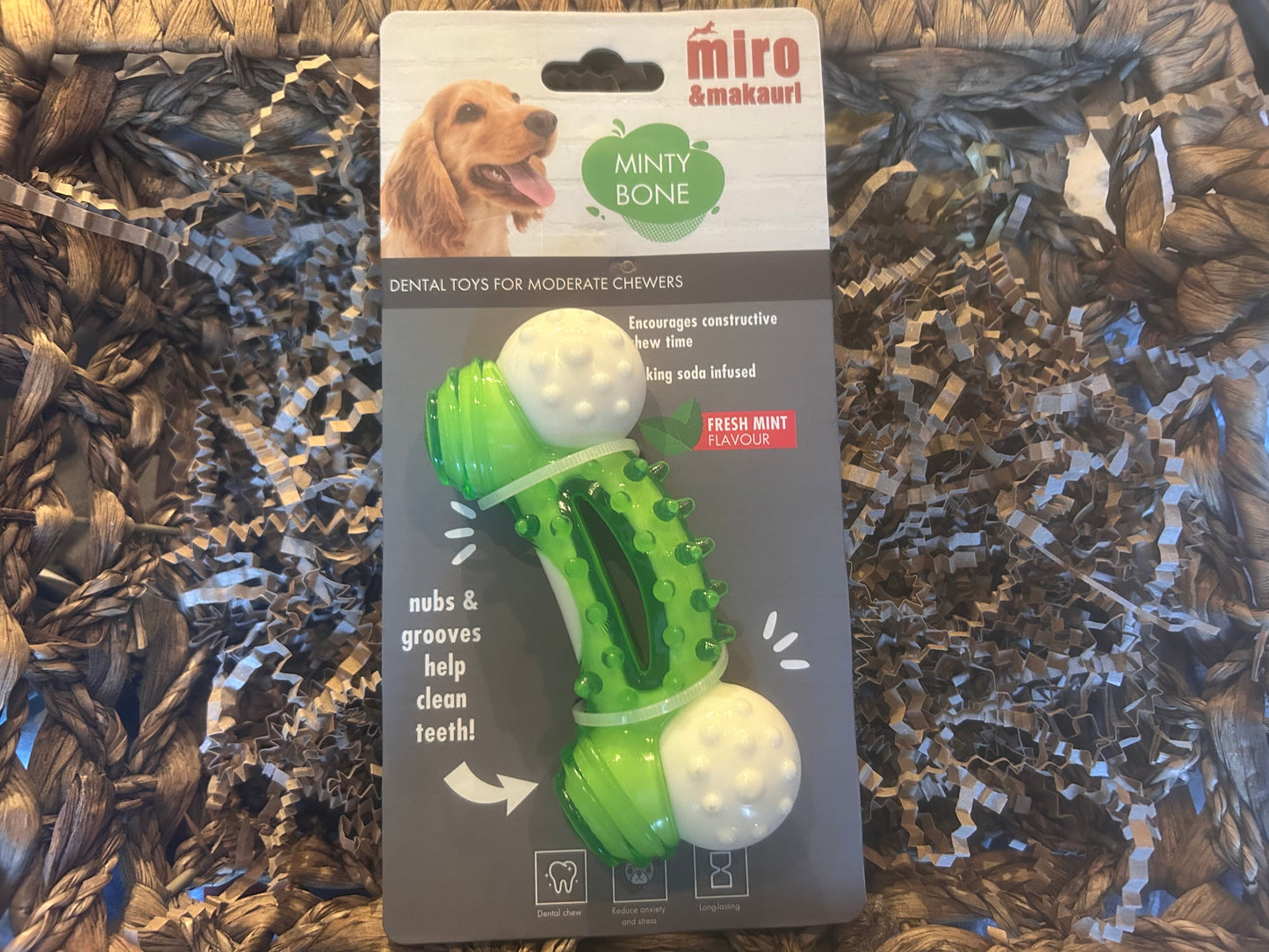 Minty Bone Dental Toy - Small to Medium Dog