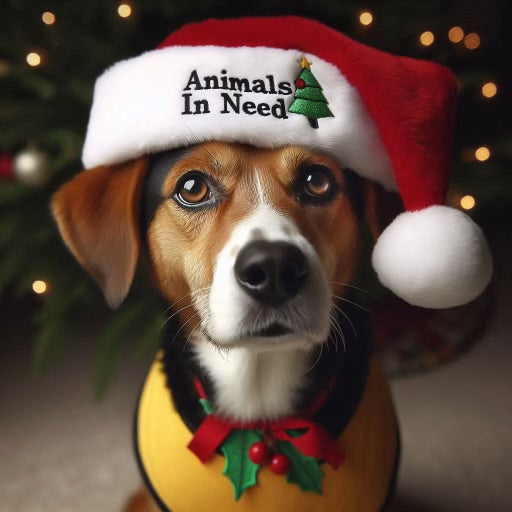 Animals in Need Gift - £10