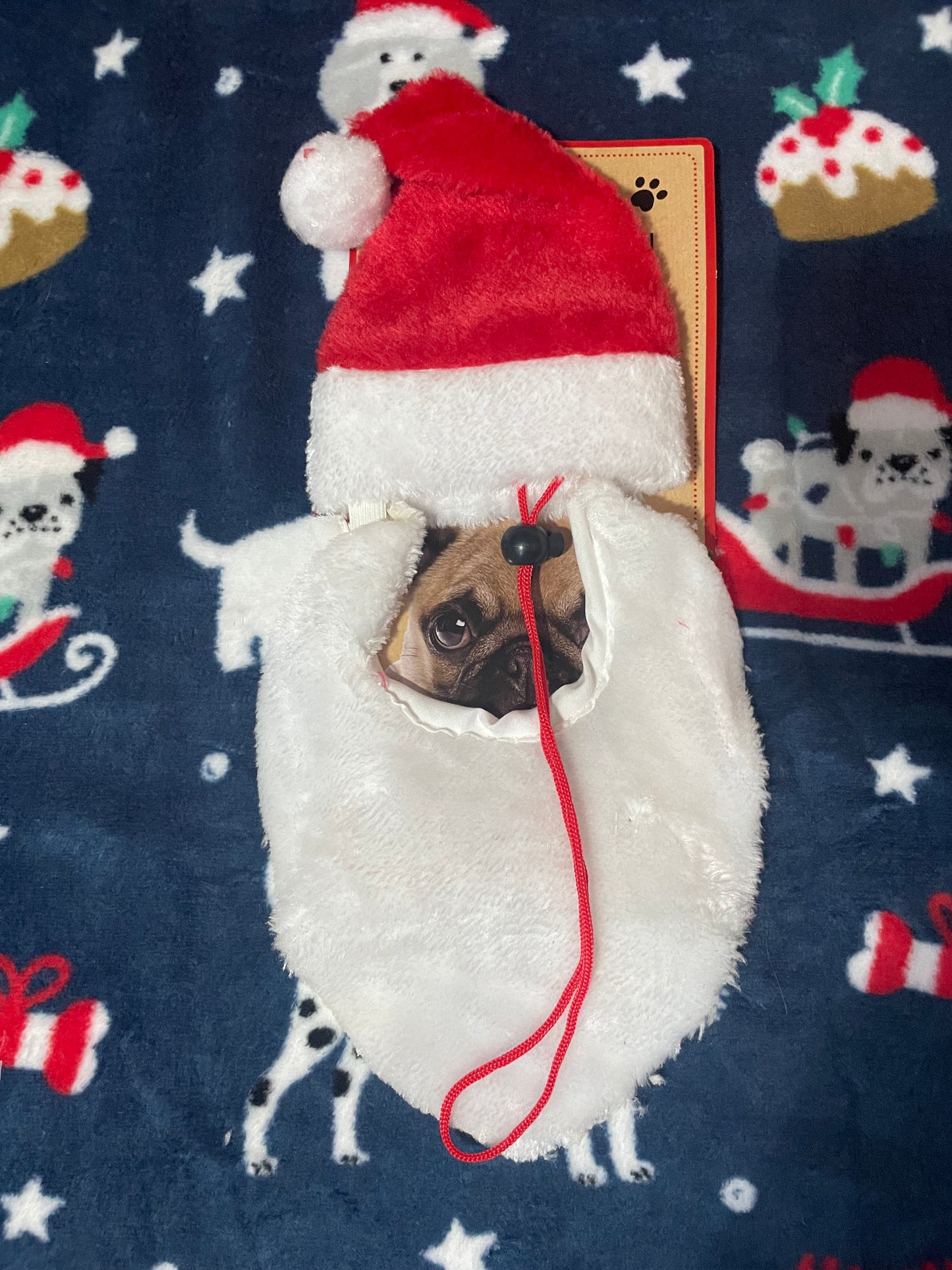 Santa Beard & Hat