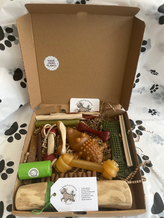Deluxe 14 Day Treat Box - Extra Large Dog
