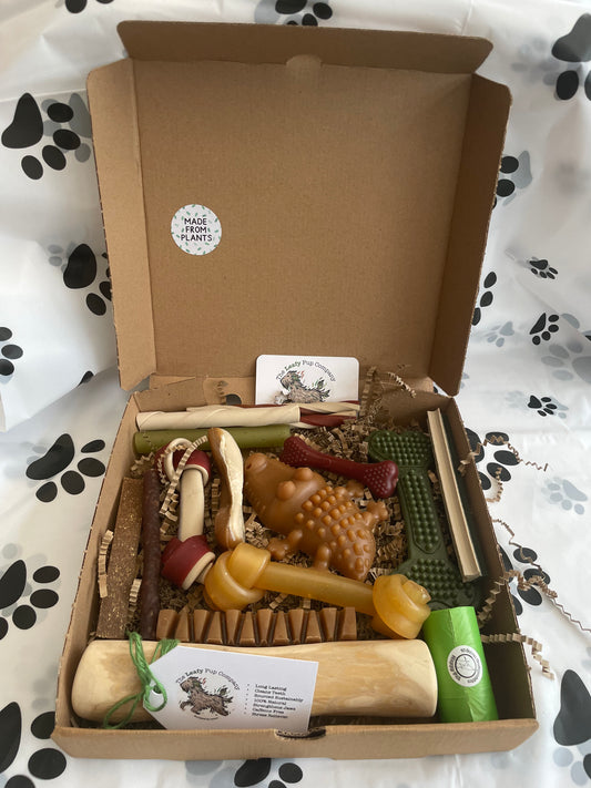 Deluxe 14 Day Treat Box - Large Dog